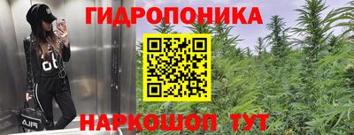 прущий лед Гатчина